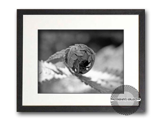 THE NEAR SPHERE - Photograph© Nicholas A Price All Rights Reserved