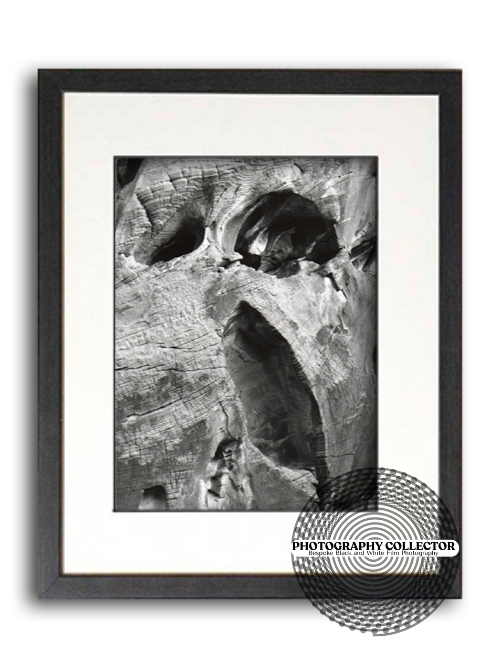 The Pain of Evolving (Print To Order) framed -  Photograph© Nicholas A Price All Rights Reserved